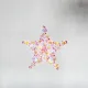 Star - Brooch Virgo - 1